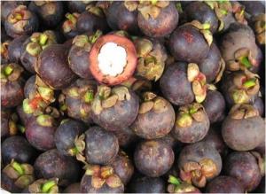 Mangosteen (Măng Cụt)